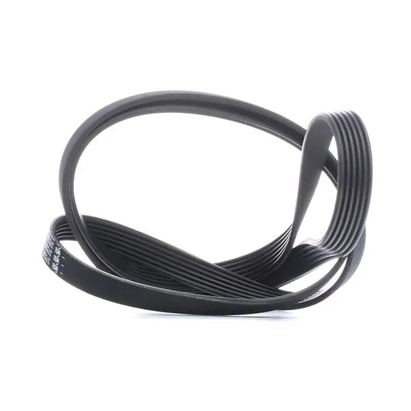 DAYCO 6PK1995 V-ribbed belt