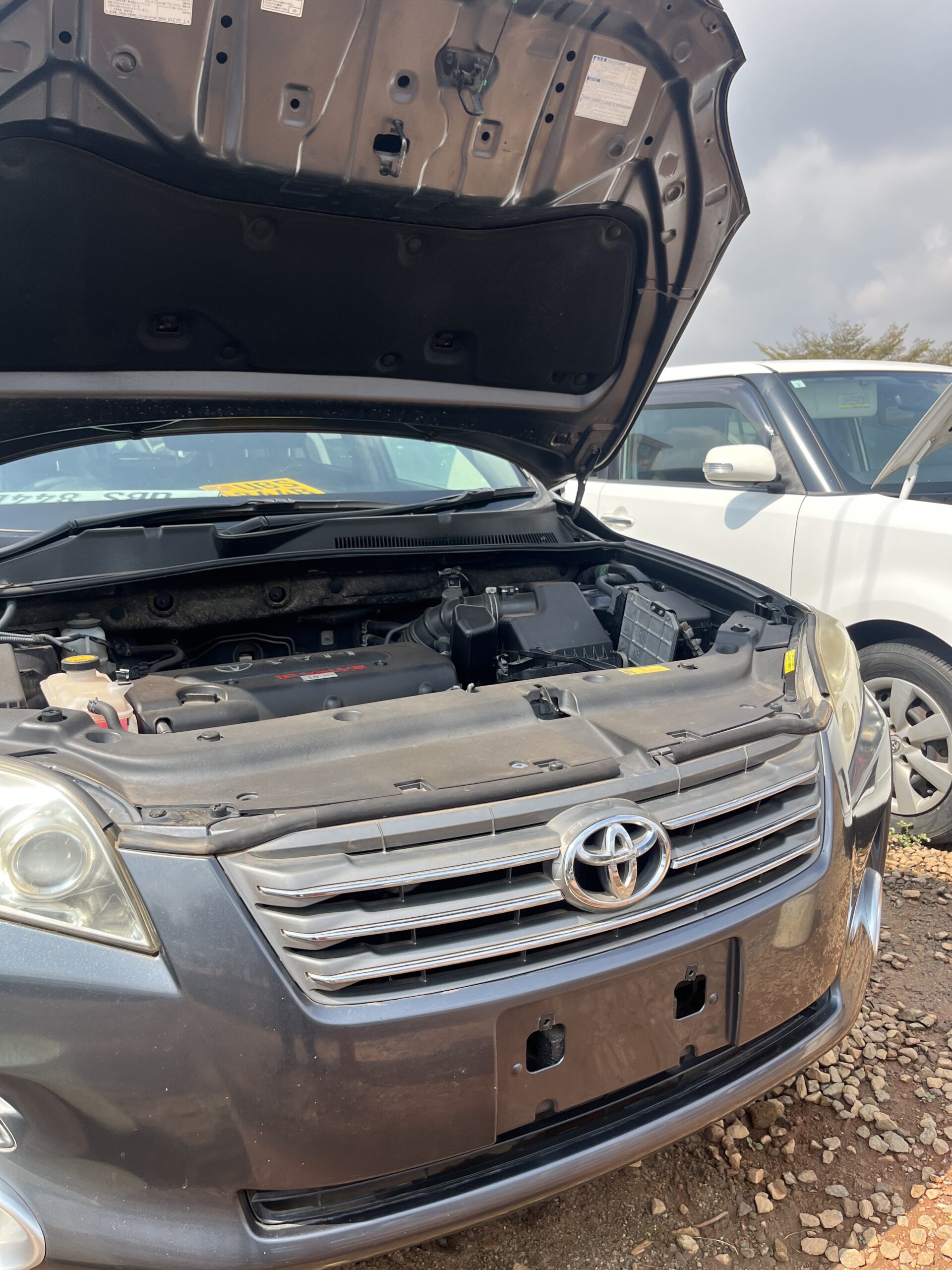 Toyota Vanguard 2009
