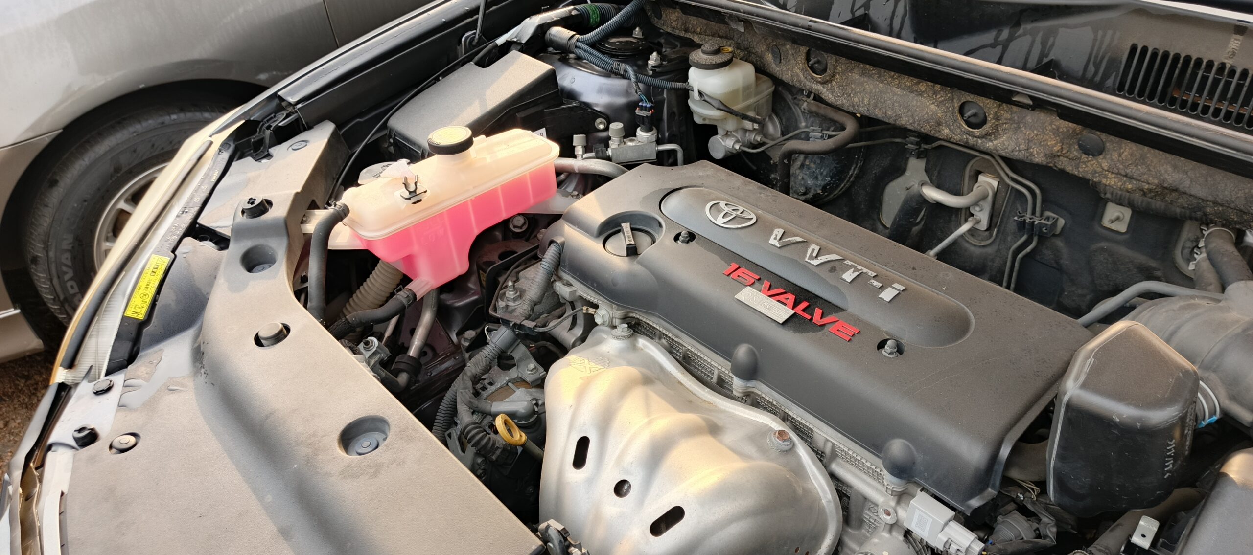 Toyota Vanguard 2009