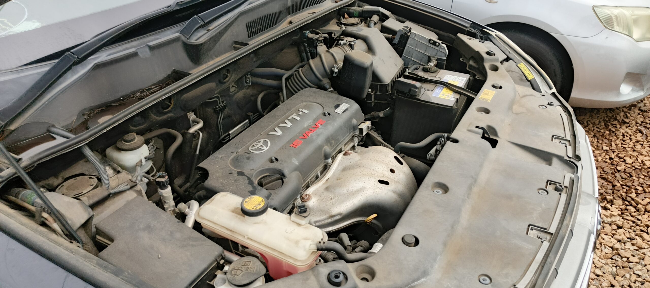 Toyota Vanguard 2009